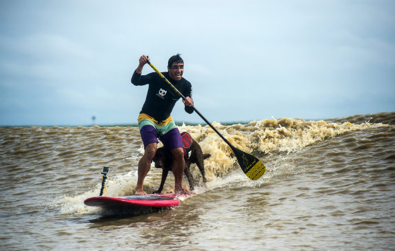 Longest Stand Up Paddleboard (SUP) ride on a tidal bore by a human/dog pair